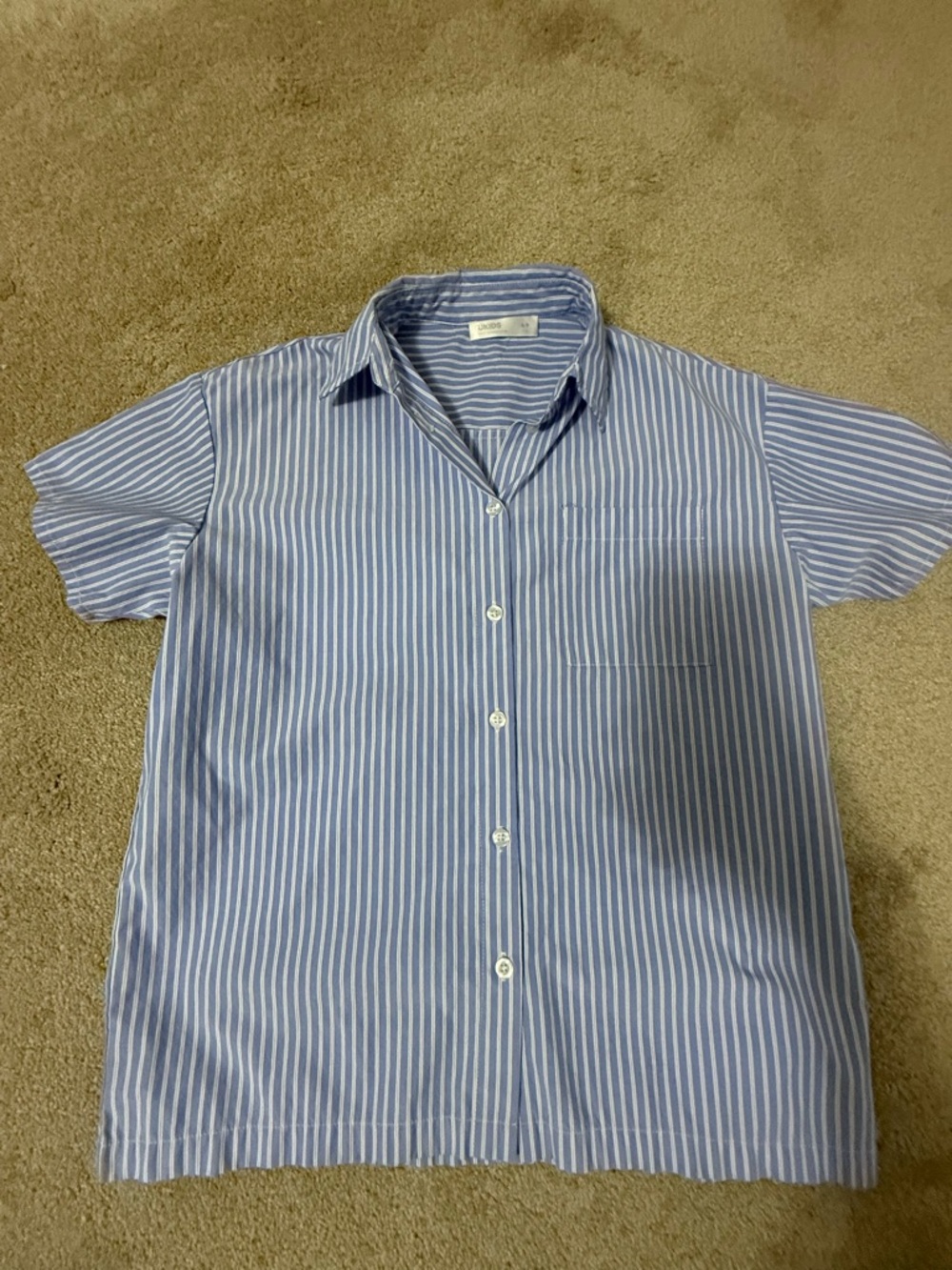 Blue and White Vertical Stripe Short-Sleeve Button-Up Shirt